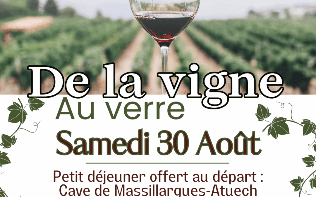 RANDONNÉE DE LA VIGNE AU VERRE*30AOÛT2025.