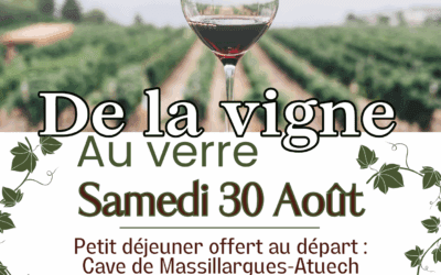 RANDONNÉE DE LA VIGNE AU VERRE*30AOÛT2025.