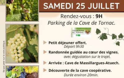 RANDONNÉE DE LA VIGNE AU VERRE*25JUILLET2026.