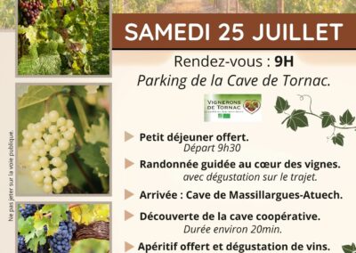 RANDONNÉE DE LA VIGNE AU VERRE*25JUILLET2026.